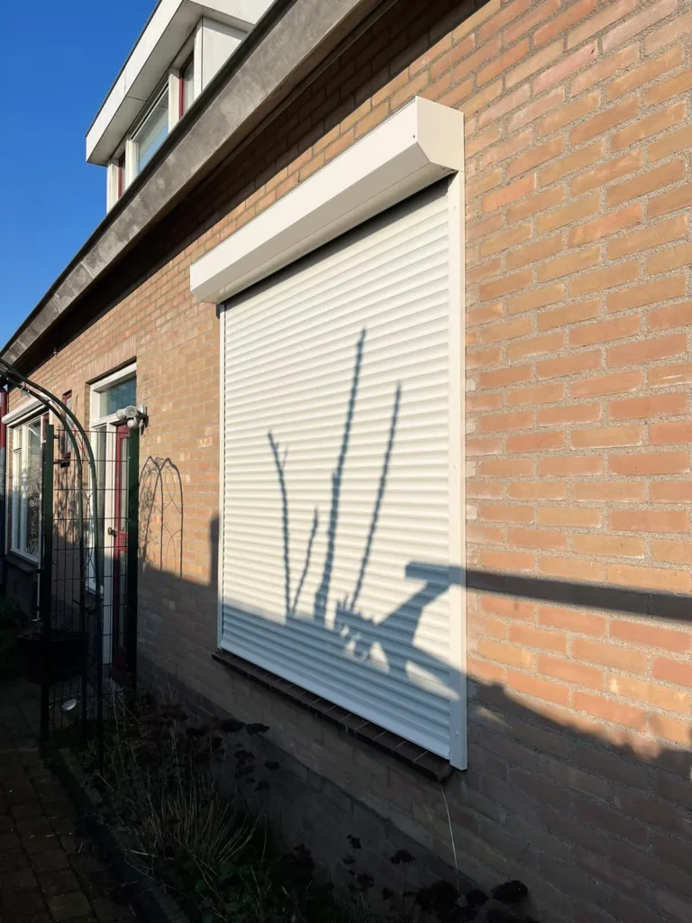 PHOTO 2024 03 08 10 01